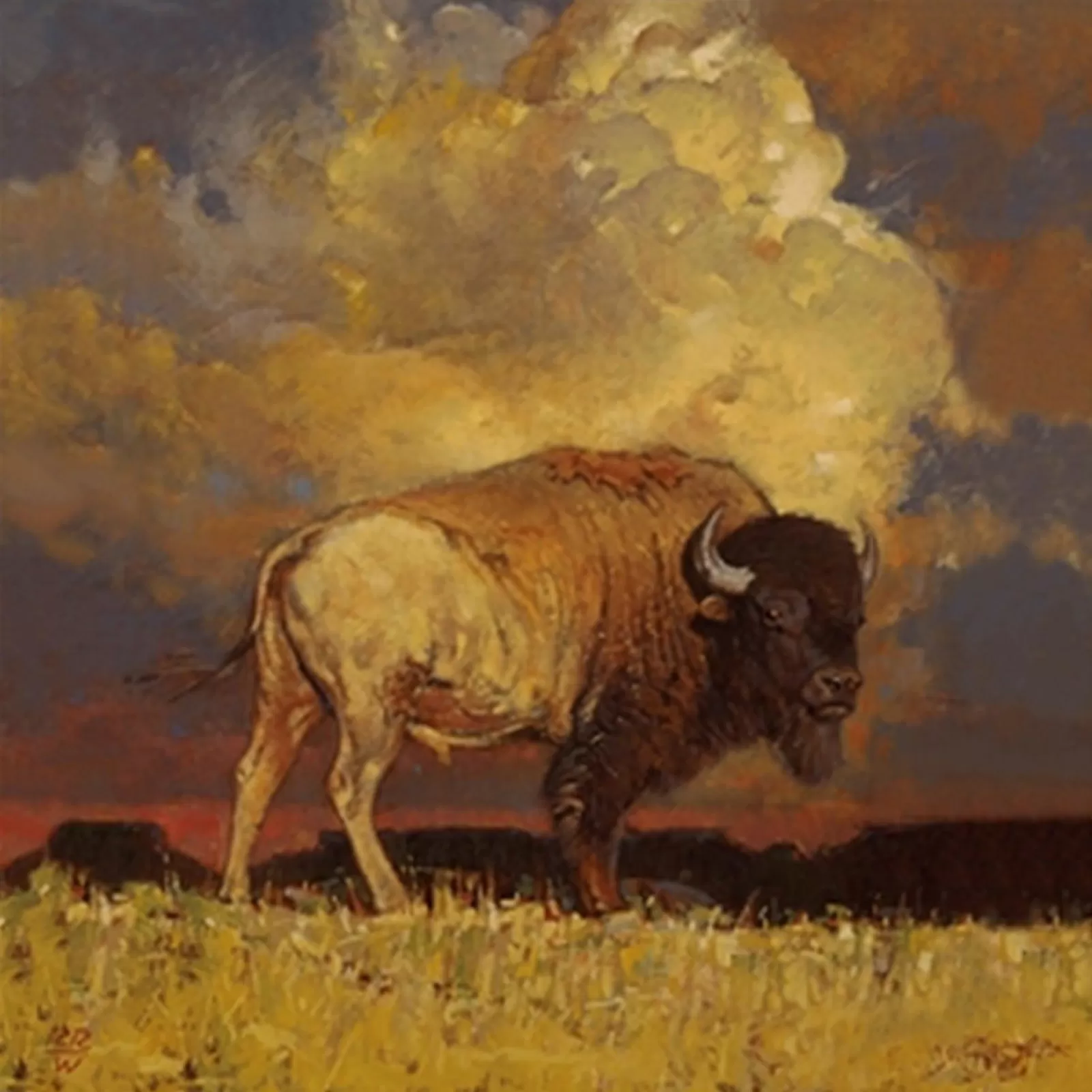 Rockmount Limited-Edition Nothing But Buffalo & Sky Silk Scarf By Jeff Segler Discount