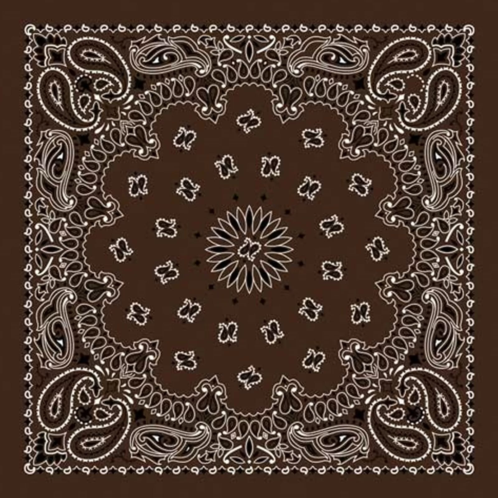 Rockmount Paisley Western Cotton Bandana In Brown Best Sale