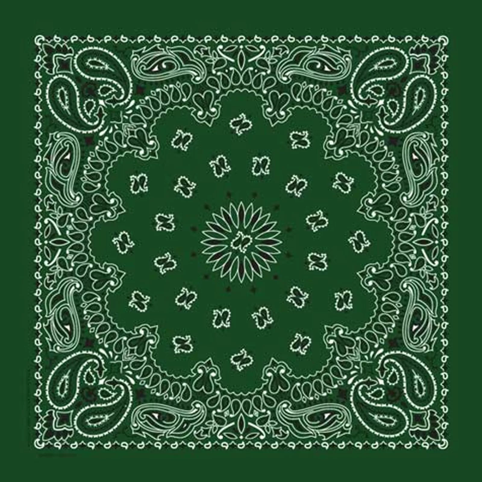 Rockmount Paisley Western Cotton Bandana In Green Store