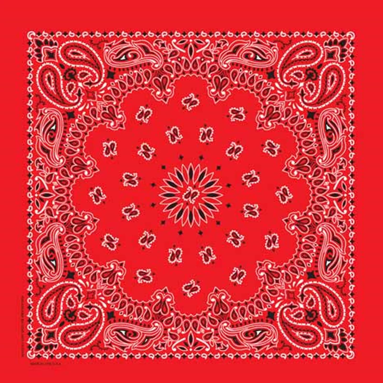 Rockmount Paisley Western Cotton Bandana In Red Shop