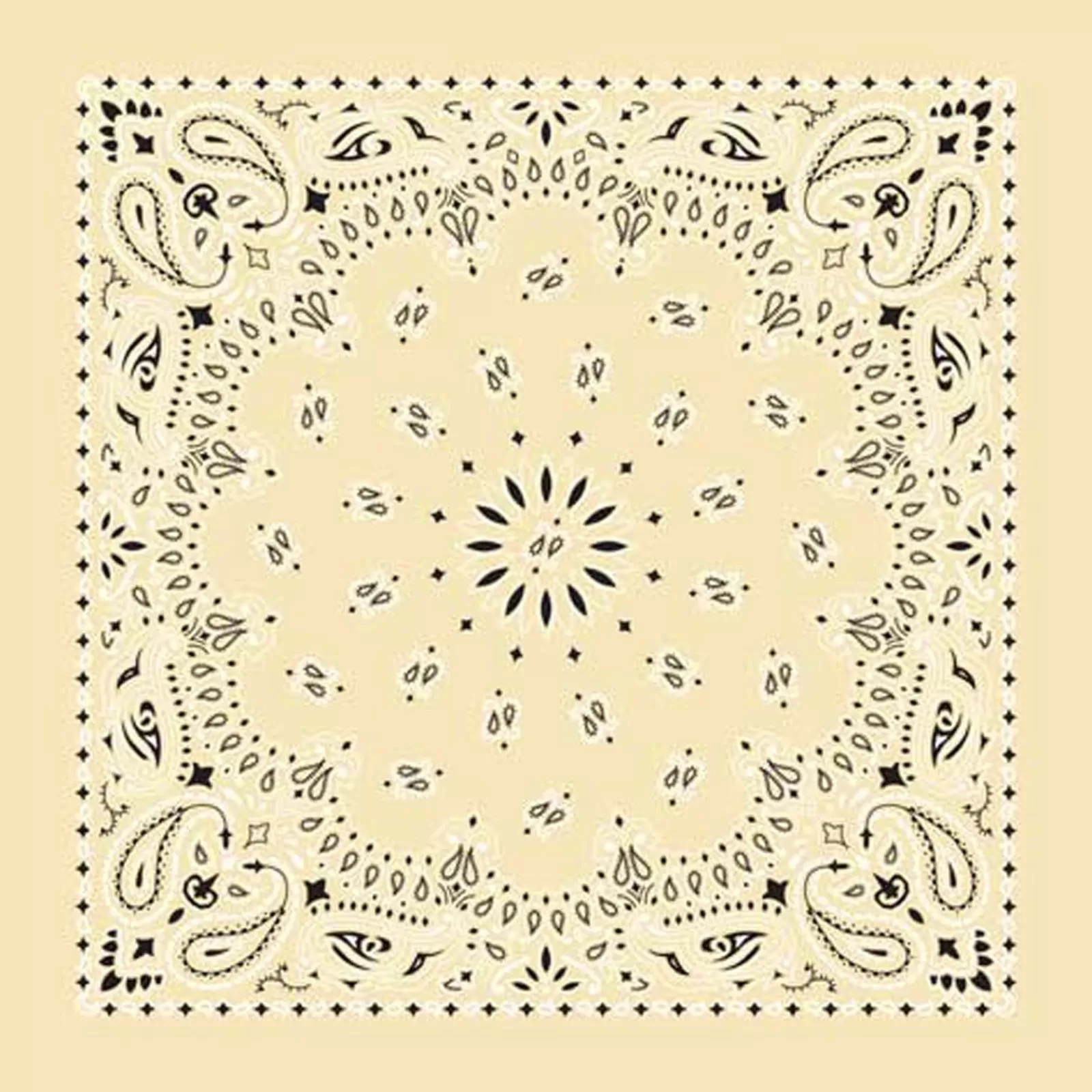 Rockmount Paisley Western Cotton Bandana In Tan Outlet