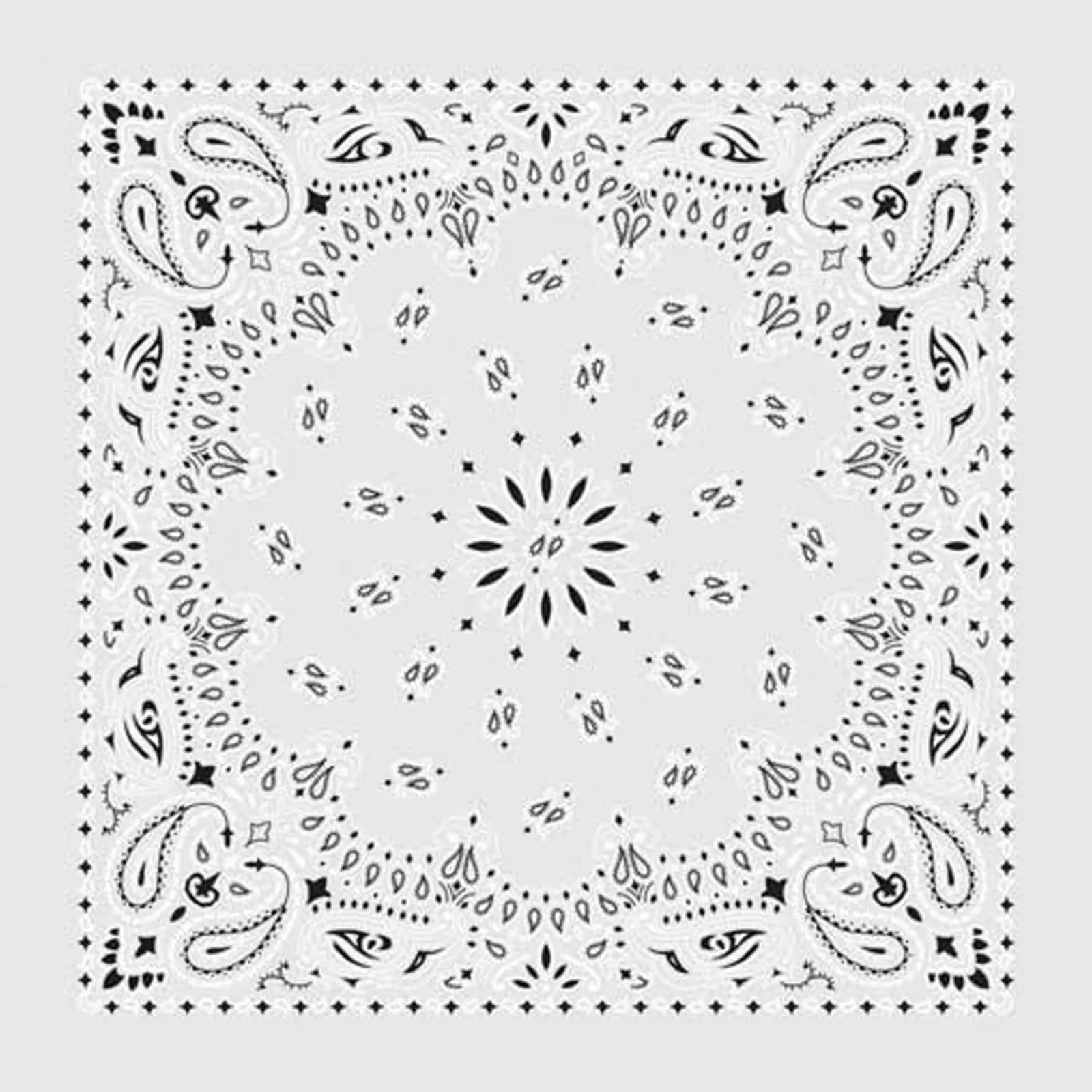 Rockmount Paisley Western Cotton Bandana In White Shop